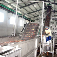 Productielijn voor fruit-sap, jam en concentraat van hoge kwaliteit, 1-60 ton per uur, voor perzik/abrikoos/pruim.