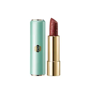 New In Stock 2 Colors Lipstick Customizable LOGO Mold Patterned Lip Color Velvet Matte Waterproof Lip Makeup Carving Lip Stick
