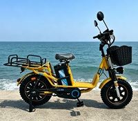 Vélo Électrique à Assistance Électrique avec Panier Avant et Porte-Bagages Arrière, Moteur Brushless 800W, Batterie Lithium 48V, Pneu Neige 16 Pouces pour Adulte