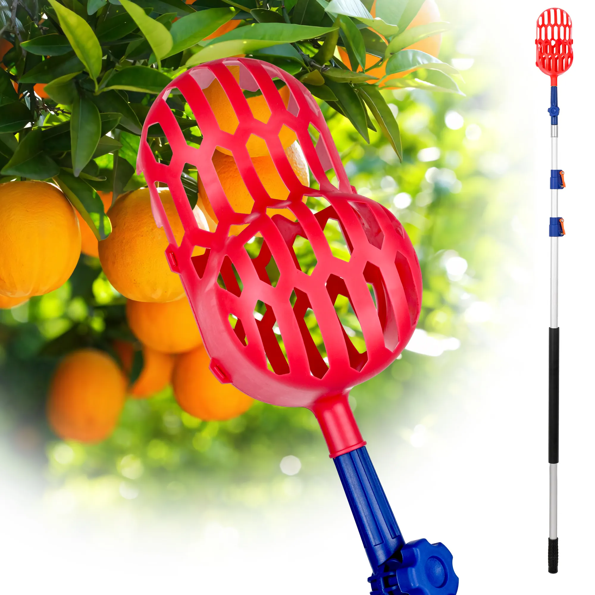 12FT 24FT 24FT 30FT Fruit Picker with Aluminum Alloy Telescopic Extension Pole for Apples Mango Pear Orange Avocados