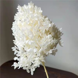 Fournisseur d'articles floraux d'usine : Hortensia Arborescens stabilisé, fleur éternelle au toucher réel, pour cadeaux de mariage et décoration de table, OEM personnalisé - Product Image 5
