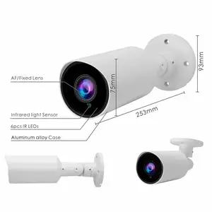 Telecamera CCTV Ip a bassa luminosità con rilevamento della luce stellare a colori 24H sony307 24H