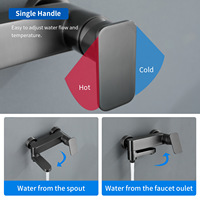 Robinet de douche pliable à poignée unique en laiton poli, nouveau modèle, avec noyau de valve en céramique et pomme de douche douce/à jet pour salle de bain