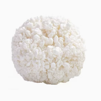 Litière pour chat en cassava, fine et biodégradable, agglomération rapide, contrôle des odeurs, bonne absorption des excréments, douce pour les pattes des chatons, 2,5 kg