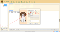Nouveau modèle 2026 : Analyse automatique QRMA pour chiens et chats – Scanner corporel facile à utiliser