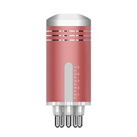 Appareil de soin de la peau portable à rouleau de gel, en plastique rouge, avec prise USB