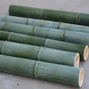 Design unico giardino paletti Moso bastone di bambù con il prezzo ragionevole