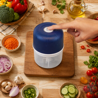 Mini hachoir à ail électrique rechargeable par USB, bol de 250 ml, presse-gingembre, hachoir à viande, robot culinaire, vente en gros