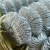 Malla de Alambre Galvanizado con Forma de Diamante Q195 1.5-3.5mm 50x50mm, Valla Flexible Anti-Impactos para Canchas Deportivas de Baloncesto