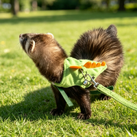 Ensemble Harnais et Laisse Réglables pour Hamsters et Chinchillas – Mignon, Durable et Écologique – Vente en Gros