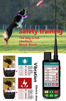 Collier GPS pour chien de qualité médicale avancée, technologie GPRS, coque hypoallergénique, design étanche IP68, antenne intégrée