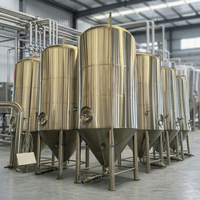 Cuve de fermentation 100Hl, Fermenteurs de bière 10000L disponibles à bon prix