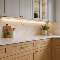 Gabinetes de Cocina Estilo Shaker Directo de Fábrica para Proyectos Residenciales a Granel, Mayoristas de Gabinetes y Suministro para Viviendas Multifamiliares