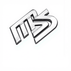 Maßgefertigte Autoteile ABS-Buchstaben Autoemblem Namensschilder Gebürstete Oberfläche Visitenkarten Schwarze Kunststoff-Namenskarten - Product Image 1