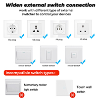 Interrupteur WiFi 1CH AC220V Mini interrupteur intelligent sans fil pour éclairage Télécommande Interrupteur intelligent pour la maison APP Contrôle vocal
