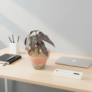 Plante artificielle Alocasia à écailles de dragon en pot en terre cuite, faux feuillage violet variegé, décoration pour la maison, le bureau, la table, l'étagère - Product Image 3