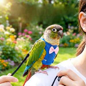 Correa de Pecho para Loros con Malla Antiescape y Cierre para Pájaros Pequeños y Loros, Uso en Exteriores - Product Image 2