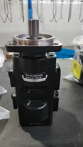 OEM chấp nhận jcb205 20/925578 162880488 7029120078 GP40.36-29R02 JCB loader Máy bơm chính thay thế thủy lực bơm bánh răng - Product Image 3