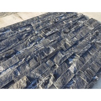 Panneaux de pierre empilée en granit noir naturel et revêtement mural 15x60x1x-2 cm