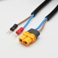 Connecteur de faisceau de câbles personnalisé SH GH ZH PH XH VH, assemblage de câbles Molex 2-30 broches avec isolation en PVC pour usage automobile