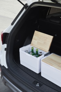 Seawins nhà máy bán buôn sản phẩm mới <span class=keywords><strong>10</strong></span> Lít nắp gỗ nhựa <span class=keywords><strong>ICE</strong></span> ngực câu cá cắm trại hộp mát - Product Image 5