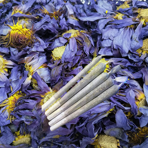 Clqq sano fumo blu fiori secchi di loto ninfee calmanti e lenitive alla rinfusa blu tè di loto - Product Image 1