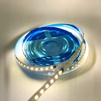 Bande lumineuse LED personnalisée de haute qualité 24V 2835 blanc chaud 3000K 4000K 6000K haute luminosité 120 Leds/m lumière étanche