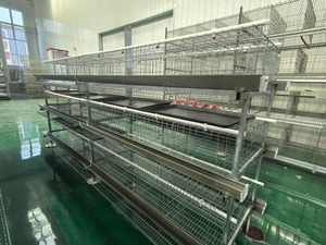 Nouvelle cage à poulets verticale à 3 niveaux et 4 portes, capacité 96 poulets, équipement d'élevage avicole commercial automatique et économique de haute qualité - Product Image 3