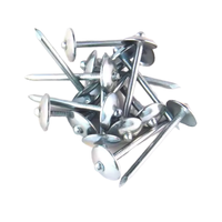 Clous galvanisés pour toiture parapluie avec rondelle en caoutchouc Clous pour toiture à tige torsadée Clous en zinc 9GX2.5"