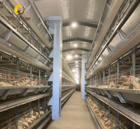 Nouveau prix usine – Système de cages à poulets galvanisées à chaud à double alimentation latérale, haute productivité, pour fermes avicoles