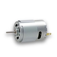 Moteur dynamo micro DC à aimant permanent Waillynice RS385 RS380 à couple élevé 6V-24V IE1 IE300 pour sèche-cheveux