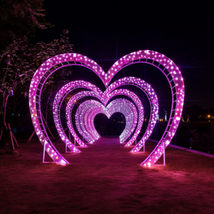 Romántico Túnel de corazón LED-Arco de pasarela iluminado para eventos - Product Image 6