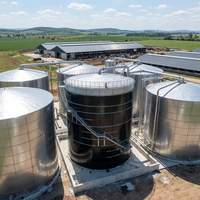 Réacteur automatique de traitement du biogaz à grande échelle 316L 7000CBM pour usine de traitement des déchets organiques et des boues d'élevage