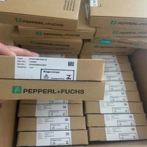 Barrière de sécurité Pepperl+Fuchs KCD2-STC-1.20 pour montage sur panneau industriel - Product Image 2