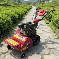NEWPANDA Trituradora de Césped con Motor Diésel de 9 HP 188F, Arranque Eléctrico, Doble Eje, con 48 Cuchillas de Martillo y Ancho de Trabajo de 600 mm
