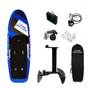 TAME BILLOW Hydroptère électrique Planche de surf Hydrofoil E-foil Vente en gros <span class=keywords><strong>Efoil</strong></span> Usine Prix bon marché - Product Image 5
