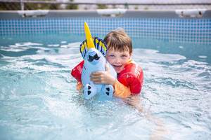 户外或室内儿童卡通动物充气恐龙玩具套装 - Product Image 4