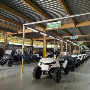 Voiturette de <span class=keywords><strong>golf</strong></span> électrique Lexsong, livraison directe de l'usine - Product Image 2
