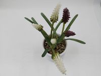 Plante artificielle haut de gamme en jacinthe de vigne, verdure artificielle en pot avec des tiges de fleurs réalistes de couleur violet foncé et blanc crème