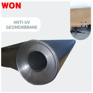 Anti-UV membran geomembran sıcak satış HDPE levha plastik membran gölet Liner balık tankı siyah geomembran kazandı