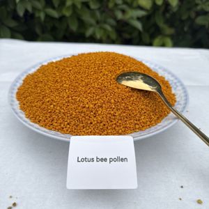 Polen de Abeja XINGBO Lotus, Polen de Abeja de Alta Calidad, Polen de Abeja Orgánico en Oferta, Polen de Abeja al por Mayor - Product Image 1