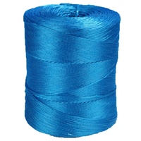 100kg Bleu 2 mm 3mm En Plastique PP polypropylène Raphia corde d'emballage Tout Usage Corde Flottante Tomate Ficelle De Jute