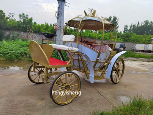 Chariot Citrouille Scintillant pour Balades Nocturnes - Élégante Carrosse <span class=keywords><strong>de</strong></span> Cendrillon pour Fêtes sur le Thème des Princesses - Product Image 4