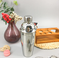 Ensemble d'outils de bar en acier inoxydable, kit de 13 pièces pour cocktails, shaker à cocktails, kit de mixologie pour barman avec support