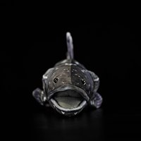 Peluche de Coelacanto Realista Personalizado, Fabricación Profesional ODM OEM, Relleno de Algodón PP Suave, para Exhibición en Museos Marinos y Acuarios