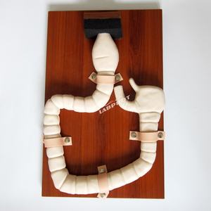 Koloskopie Prüfung Ausbildung Modell Dickdarm Simulator - Product Image 3