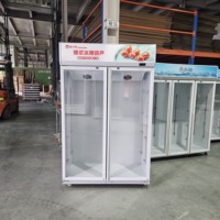 Réfrigérateur à boissons à cadre noir, à refroidissement rapide, à compresseur économe en énergie, direct usine, pour salle de sport, bar à jus, complexe hôtelier, cuisine