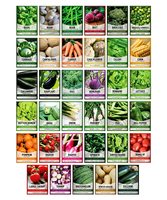 Impression personnalisée de 35 sachets de graines de légumes en PET avec marqueur de plante en bois fabriqué avec des matériaux écologiques, vente en gros
