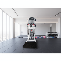 Appareil de musculation multifonctionnel pour salle de sport, machine à traction latérale et à levée latérale, avec système de charge par broche, pour entraînement en position debout