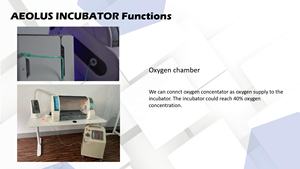 Nouveauté conçu nouveau-né animal de compagnie bébé ICU soins hospitaliers incubateur réutilisable ICU soins pour animaux de compagnie lits Para Carro Long AP pour les vétérinaires - Product Image 3